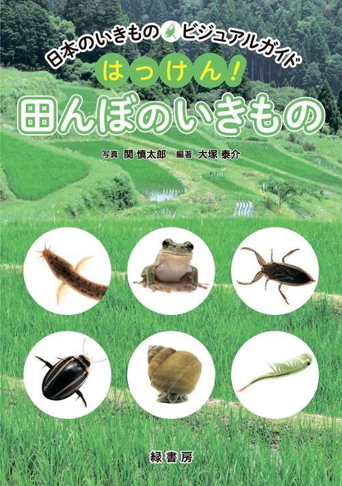日本のいきものビジュアルガイド　はっけん！　田んぼのいきもの