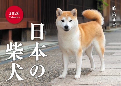 日本の柴犬カレンダー 2026