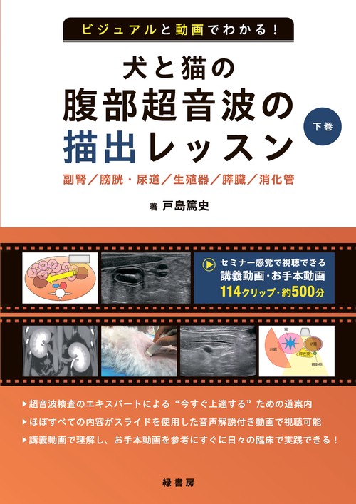 ビジュアルと動画でわかる！ 犬と猫の腹部超音波の描出レッスン 下巻