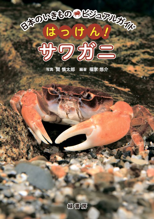 日本のいきものビジュアルガイド　はっけん！　サワガニ