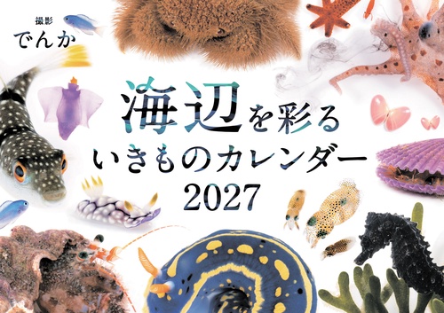 海辺を彩るいきものカレンダー 2027