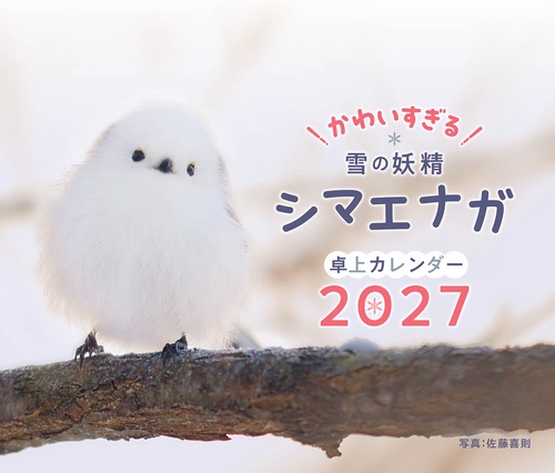 かわいすぎる雪の妖精シマエナ卓上ガカレンダー2027