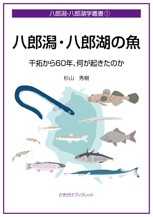八郎潟・八郎湖の魚 干拓から60年、何が起きたのか