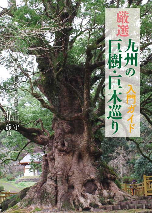 厳選 九州の巨樹・巨木巡り 入門ガイド