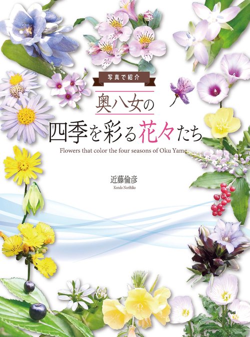 写真で見る　奥八女の四季を彩る花々たち