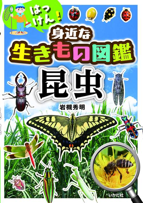 はっけん！身近な生きもの図鑑 昆虫