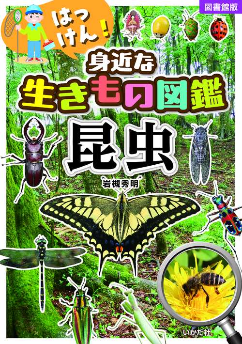【図書館版】はっけん！身近な生きもの図鑑 昆虫