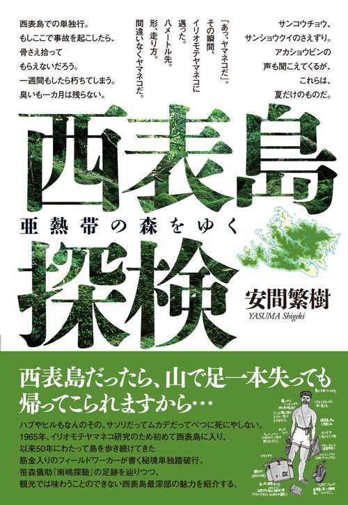 西表島探検