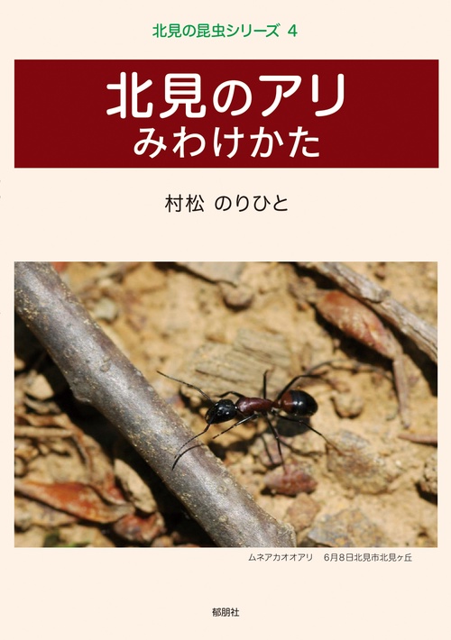 北見の昆虫シリーズ4　北見のアリ　みわけかた