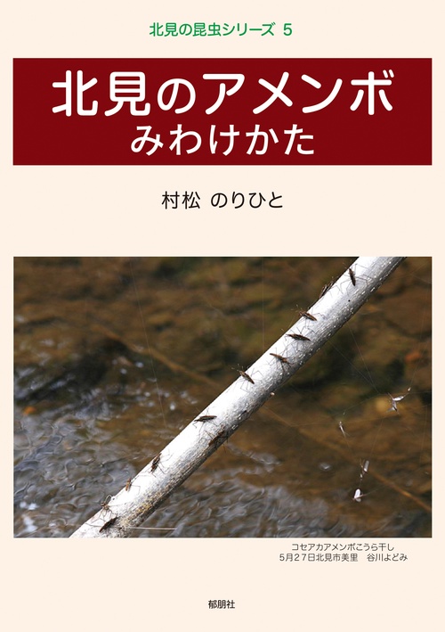 北見の昆虫シリーズ5　北見のアメンボ　みわけかた