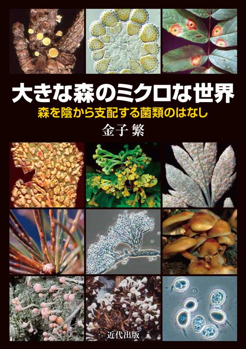 大きな森のミクロな世界　-森を陰から支配する菌類のはなし