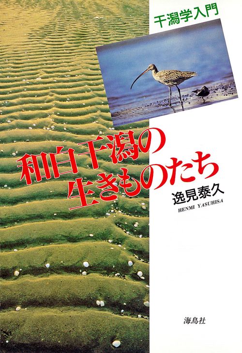 和白干潟の生きものたち