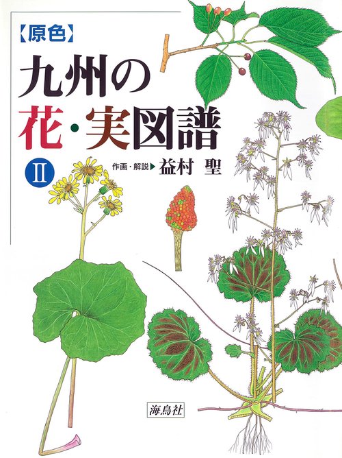 原色九州の花・実図譜 2