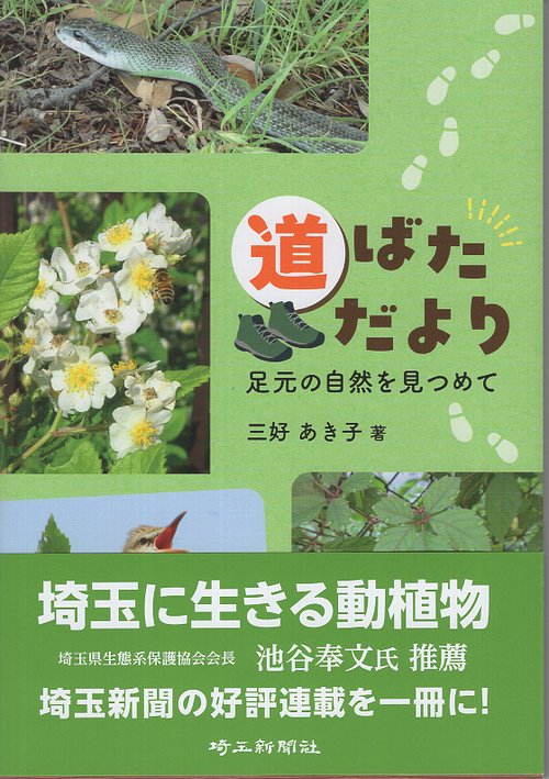 道ばただより 足元の自然を見つめて