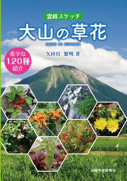 大山の草花 霊峰スケッチ 稀少な120種紹介