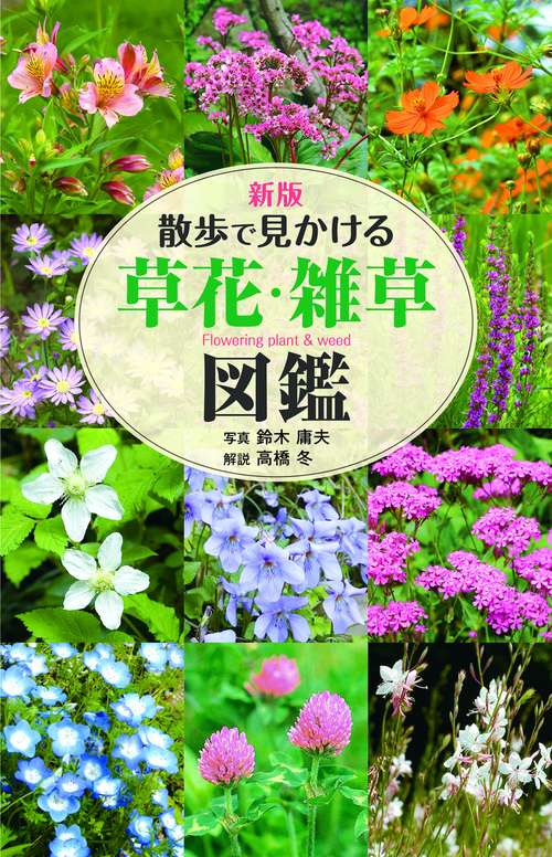 新版　散歩で見かける草花・雑草図鑑