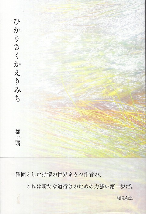 ひかりさくかえりみち
