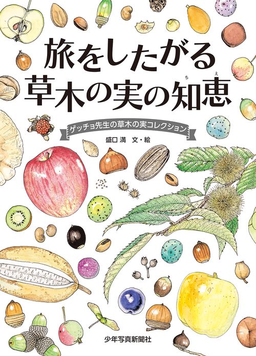 旅をしたがる 草木の実の知恵