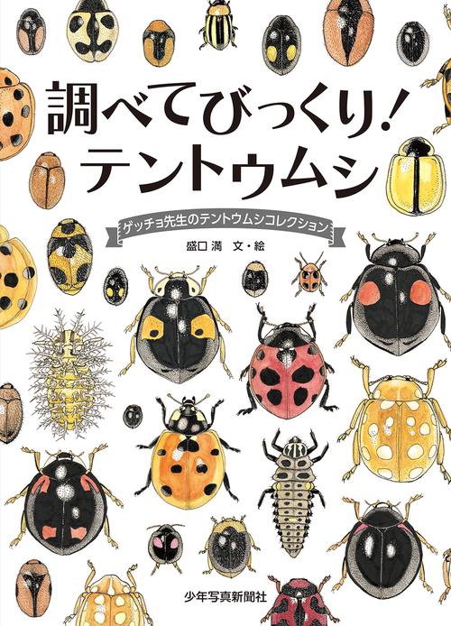 調べてびっくり！　テントウムシ　