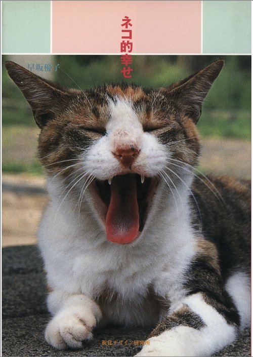 ネコ的幸せ