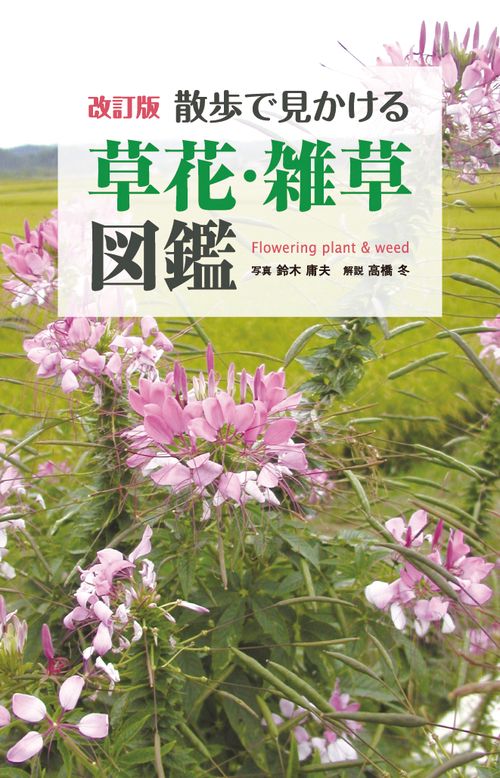 改訂版　散歩で見かける草花・雑草図鑑