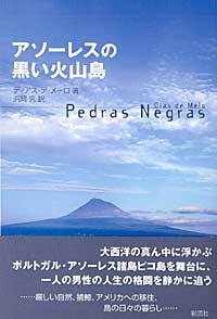 アソーレスの黒い火山島