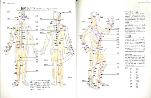 指圧による治療法 軽い病状をおさえ予防と病後のケアにきく指圧 新装普及版