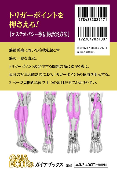 筋筋膜トリガーポイント　ポケットアトラス