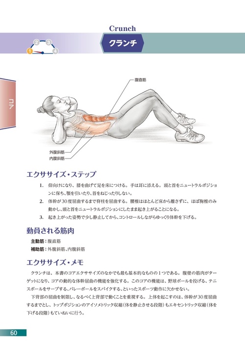 自重筋力トレーニングアナトミィ