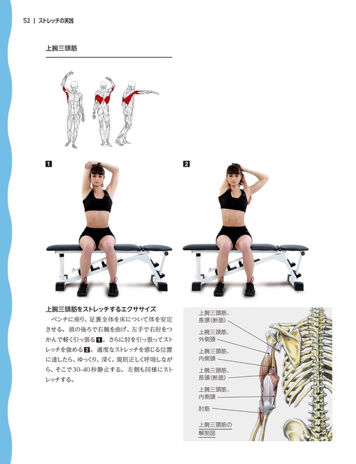 ストレッチングアナトミィ