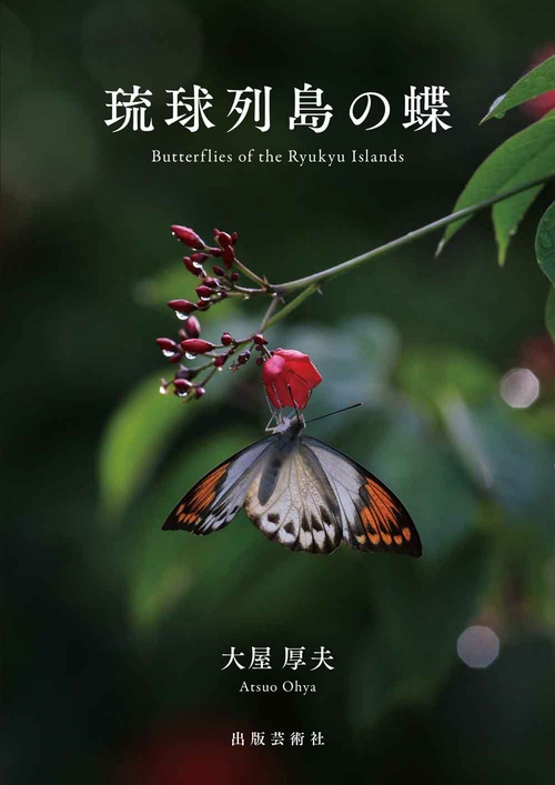 琉球列島の蝶