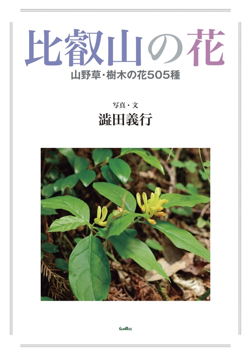 比叡山の花