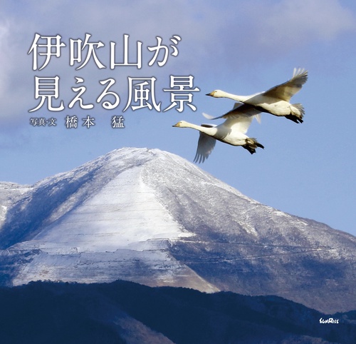 伊吹山が見える風景