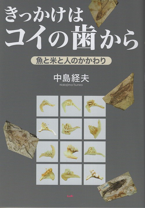 きっかけはコイの歯から
