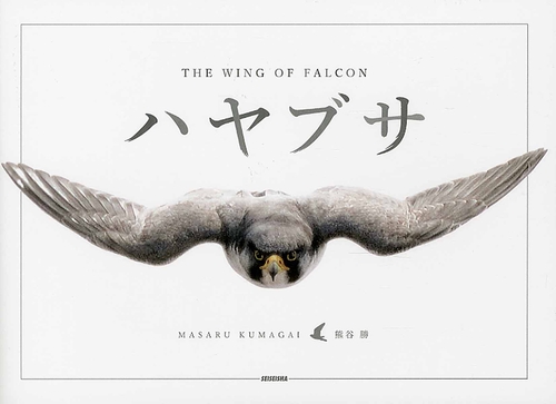 ハヤブサ THE WING OF FALCON