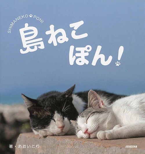 島ねこぽん!