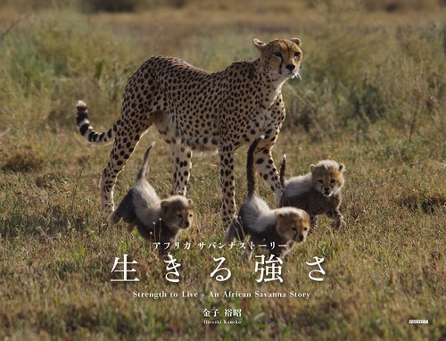 生きる強さ アフリカサバンナストーリー