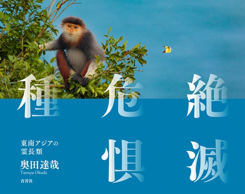 絶滅危惧種　東南アジアの霊長類