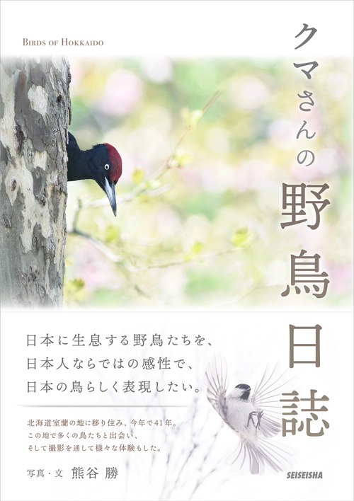 クマさんの野鳥日誌