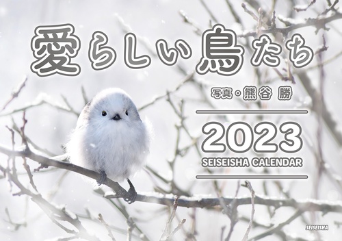 愛らしい鳥たち（セイセイシャカレンダー2023）