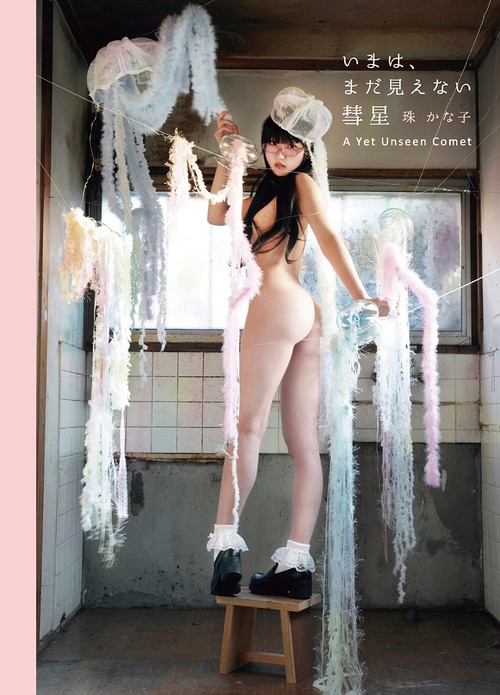 いまは、まだ見えない彗星 珠かな子写真集