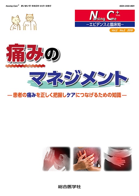 Nursing Care+ エビデンスと臨床知 Vol.2No.2(2019)