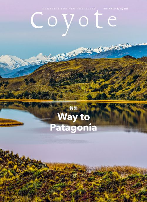 Coyote No.85 Way to Patagonia