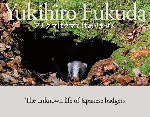 アナグマはクマではありません The unknown life of Japanese badgers