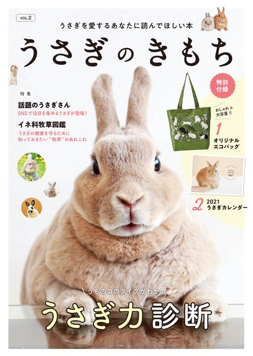 うさぎのきもち