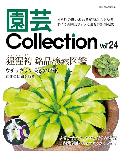 園芸Collection 24