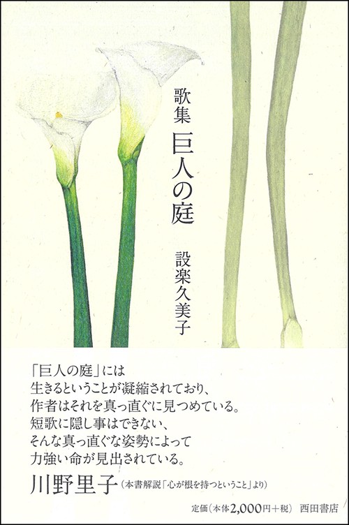 歌集　巨人の庭