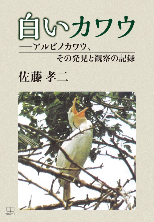 白いカワウ