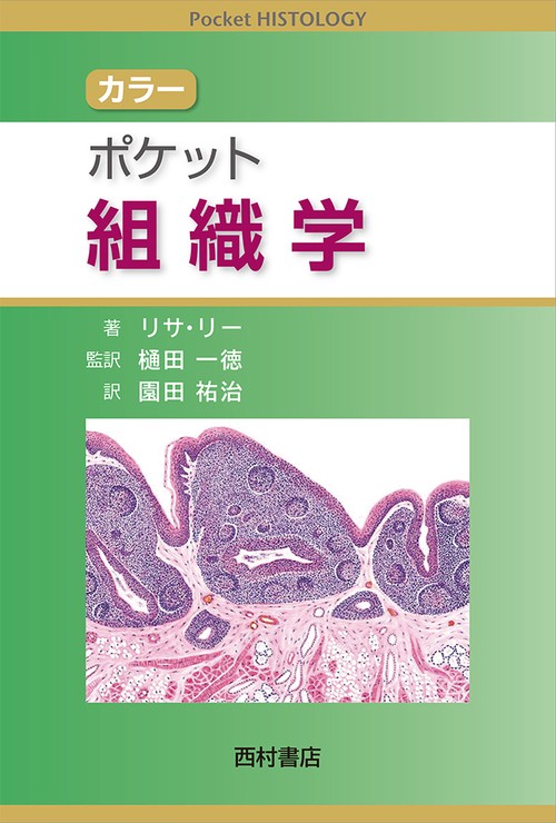 カラー ポケット組織学