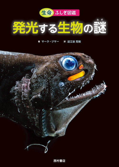 発光する生物の謎